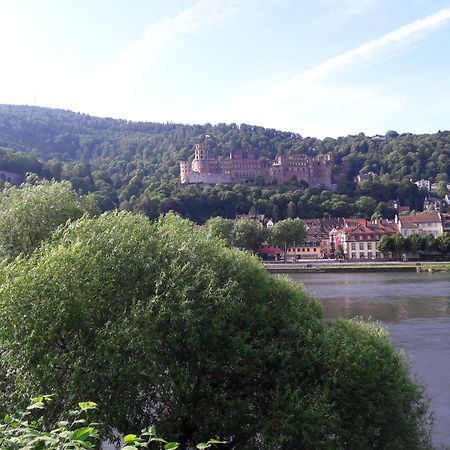 Ferienwohnung Neckarblick Хайдельберг Экстерьер фото