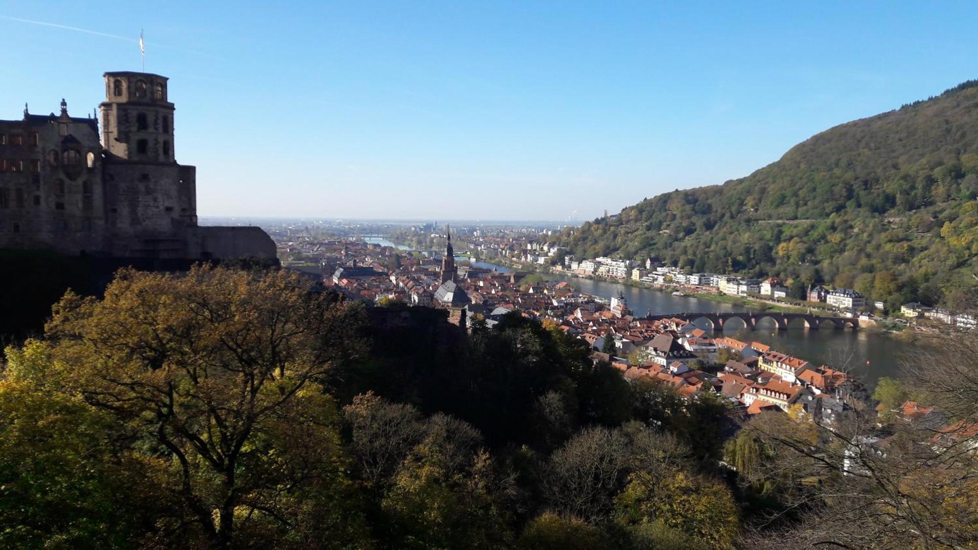 Ferienwohnung Neckarblick Хайдельберг Экстерьер фото